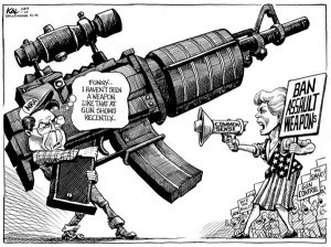 photo arme a feu article journal